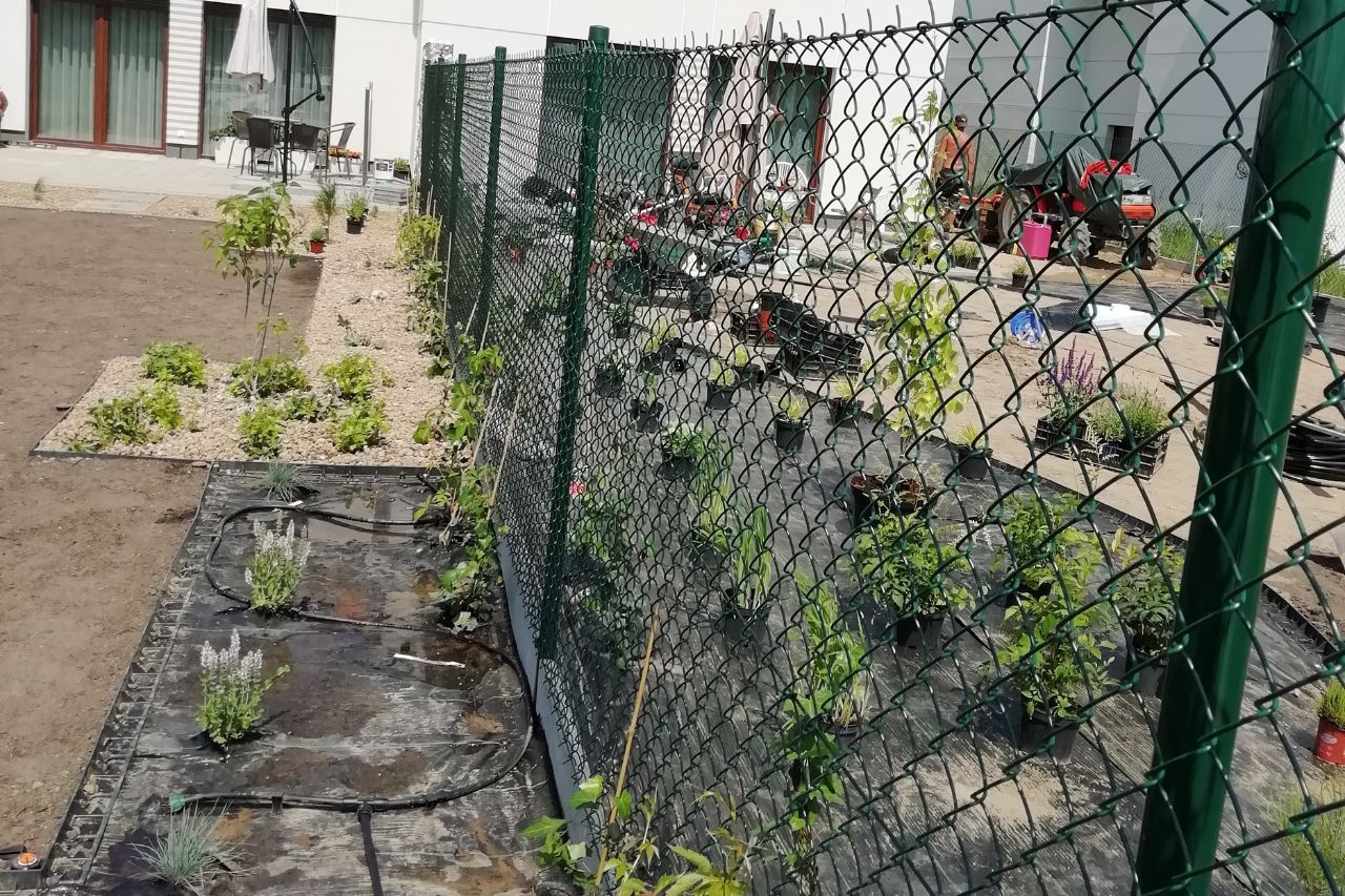 siatka ogrodzeniowa przy ogrodzie z roślinnością